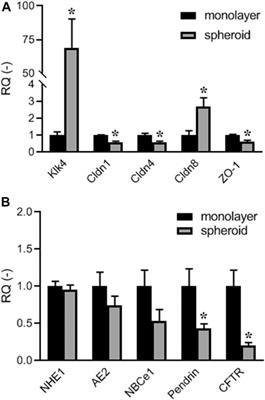 Three-Dimensional Culture of Ameloblast-Originated HAT-7 Cells for Functional Modeling of Defective Tooth Enamel Formation